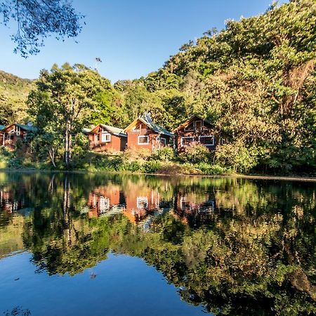 Suenos Del Bosque Lodge San Gerardo de Dota Exteriér fotografie