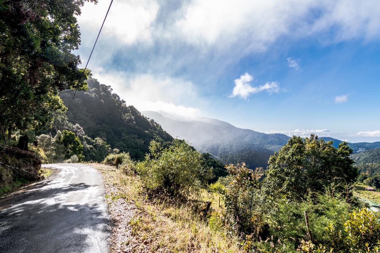 Suenos Del Bosque Lodge San Gerardo de Dota Exteriér fotografie