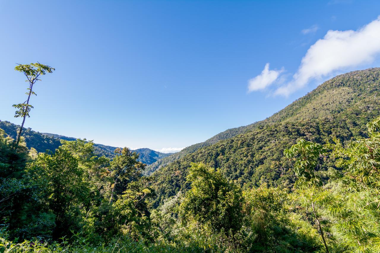 Suenos Del Bosque Lodge San Gerardo de Dota Exteriér fotografie