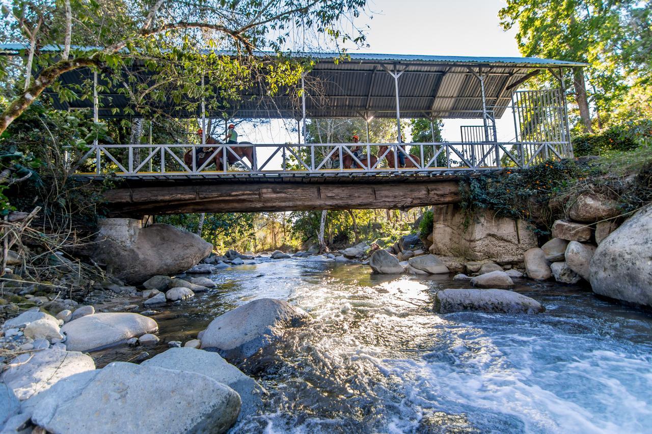 Suenos Del Bosque Lodge San Gerardo de Dota Exteriér fotografie