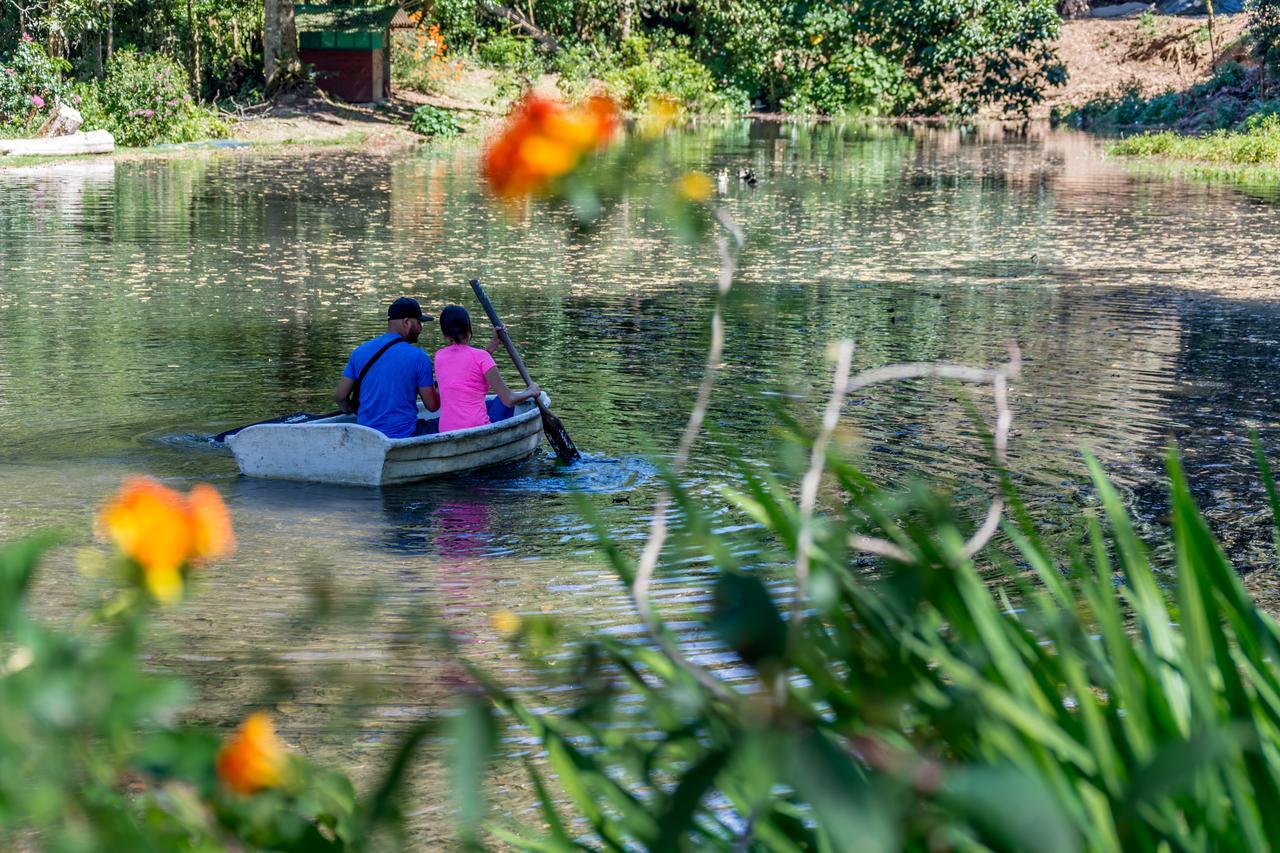 Suenos Del Bosque Lodge San Gerardo de Dota Exteriér fotografie