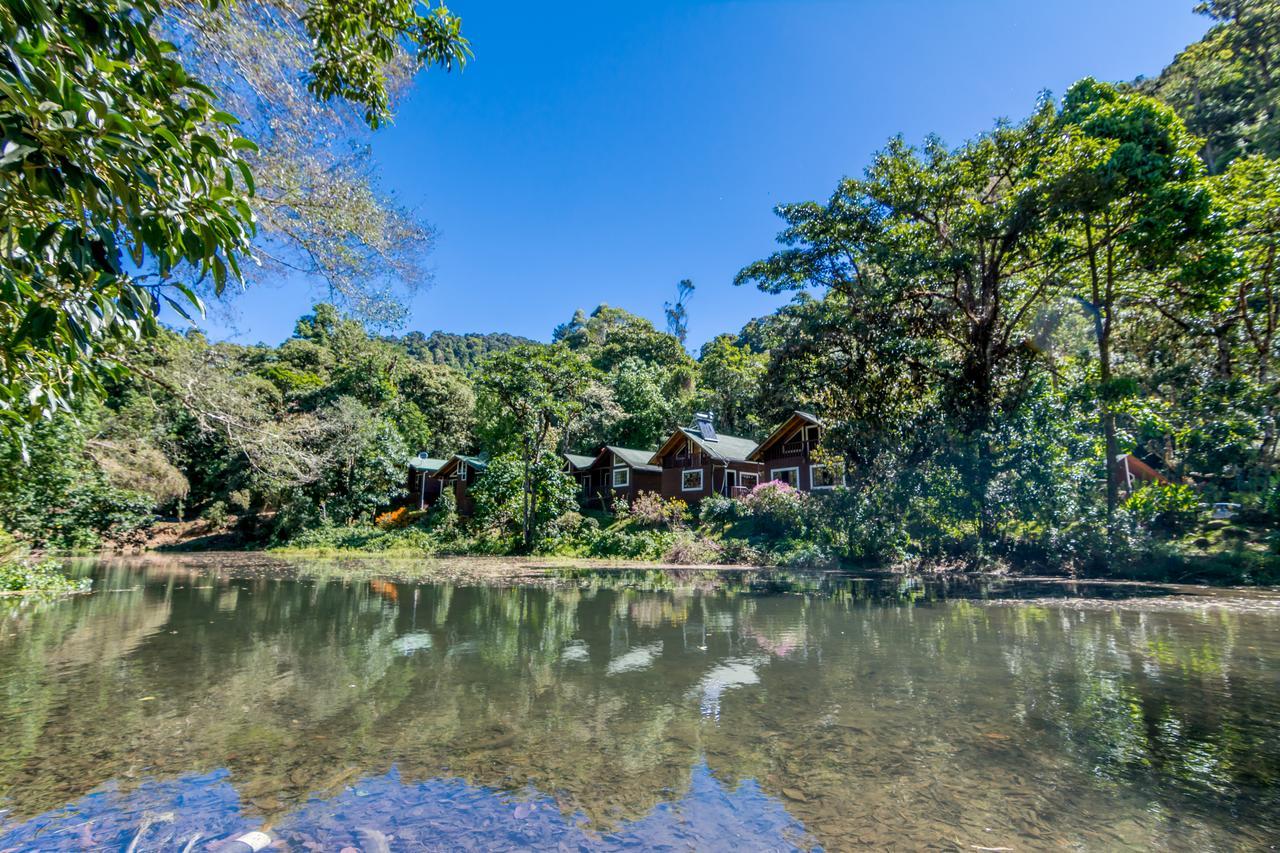 Suenos Del Bosque Lodge San Gerardo de Dota Exteriér fotografie