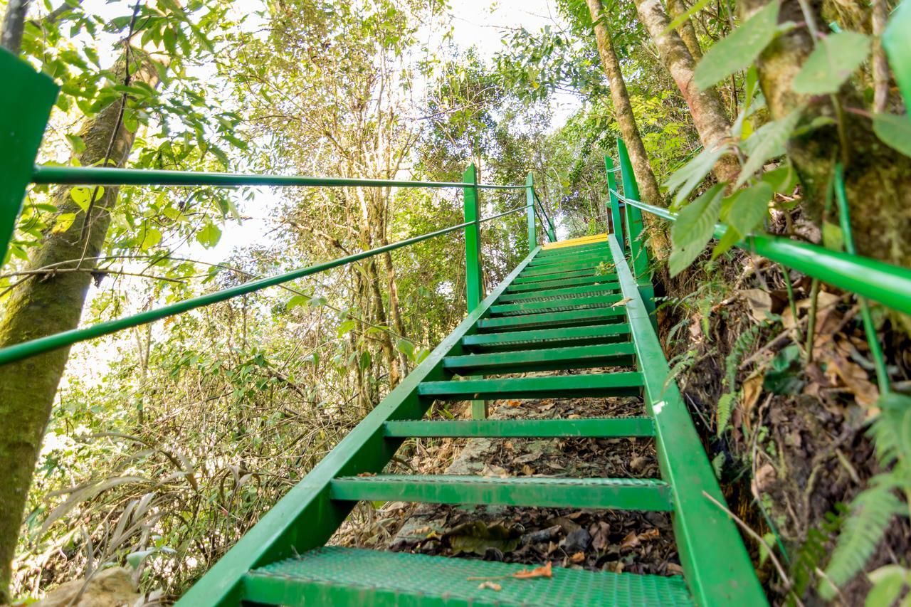 Suenos Del Bosque Lodge San Gerardo de Dota Exteriér fotografie