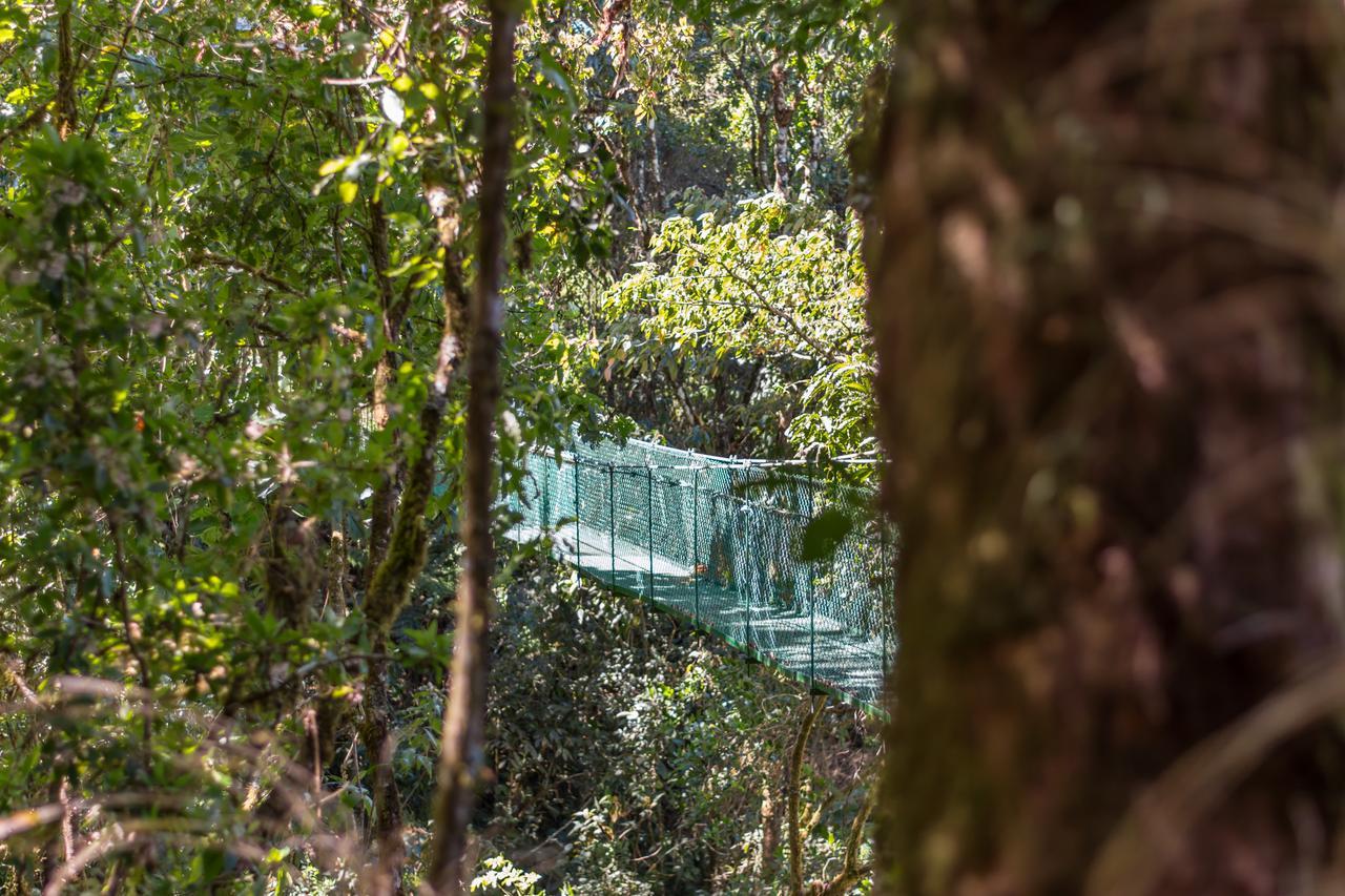 Suenos Del Bosque Lodge San Gerardo de Dota Exteriér fotografie