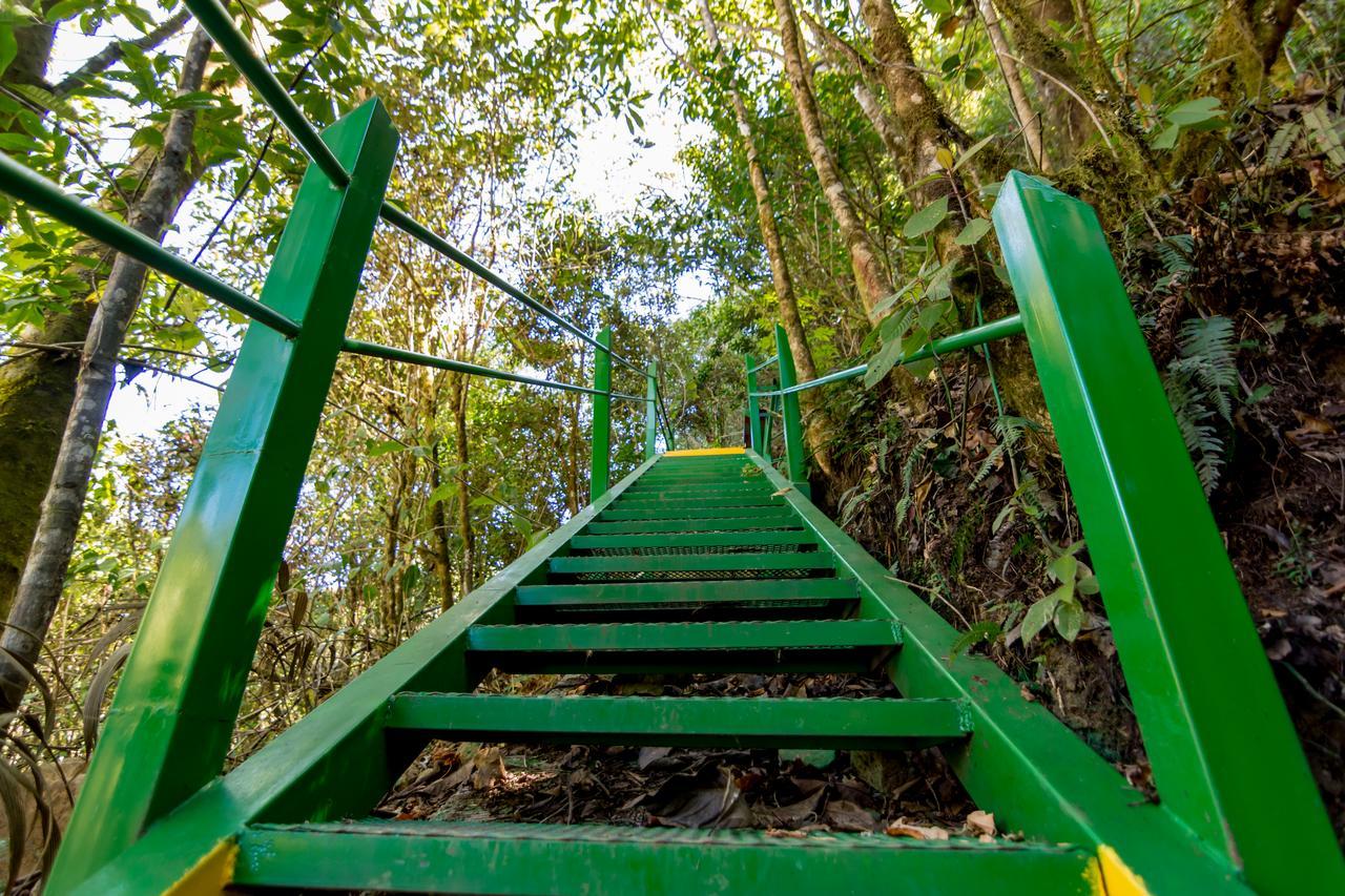 Suenos Del Bosque Lodge San Gerardo de Dota Exteriér fotografie