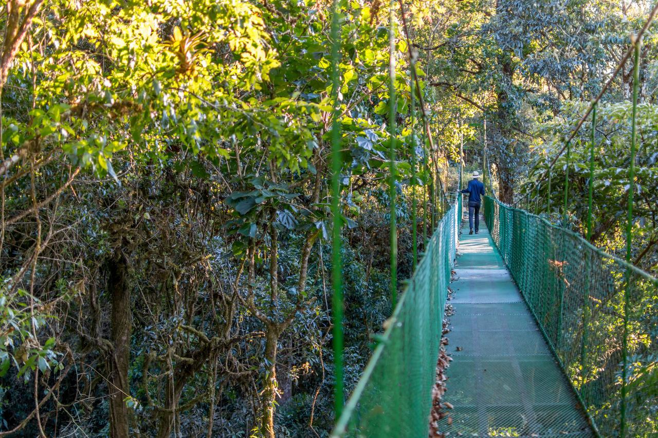 Suenos Del Bosque Lodge San Gerardo de Dota Exteriér fotografie