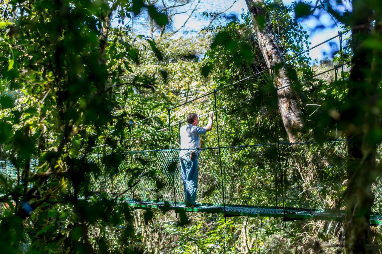 Suenos Del Bosque Lodge San Gerardo de Dota Exteriér fotografie