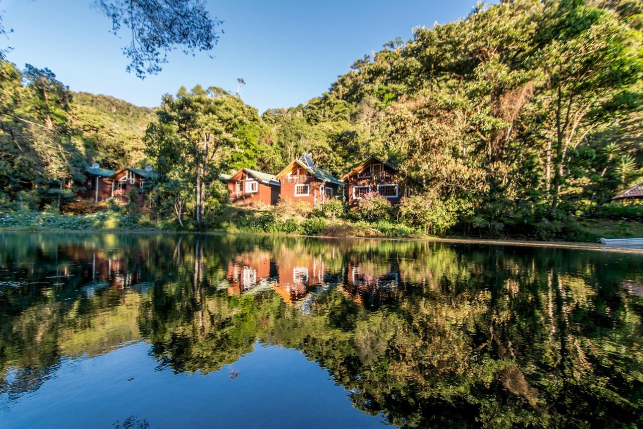 Suenos Del Bosque Lodge San Gerardo de Dota Exteriér fotografie