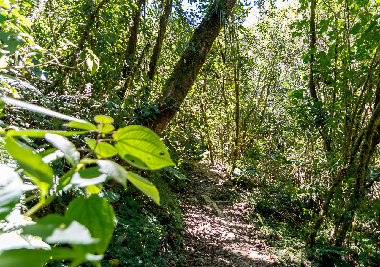 Suenos Del Bosque Lodge San Gerardo de Dota Exteriér fotografie